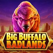 BIG BUFFALO BADLANDS